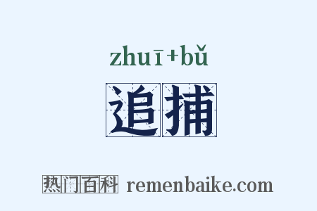 追捕是什么意思的图片